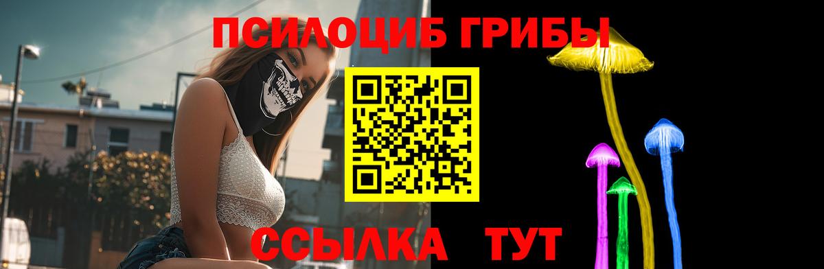 Владикавказ  Псилоцибиновые грибы MAGIC MUSHROOMS  где продают наркотики  Вход с VPN 